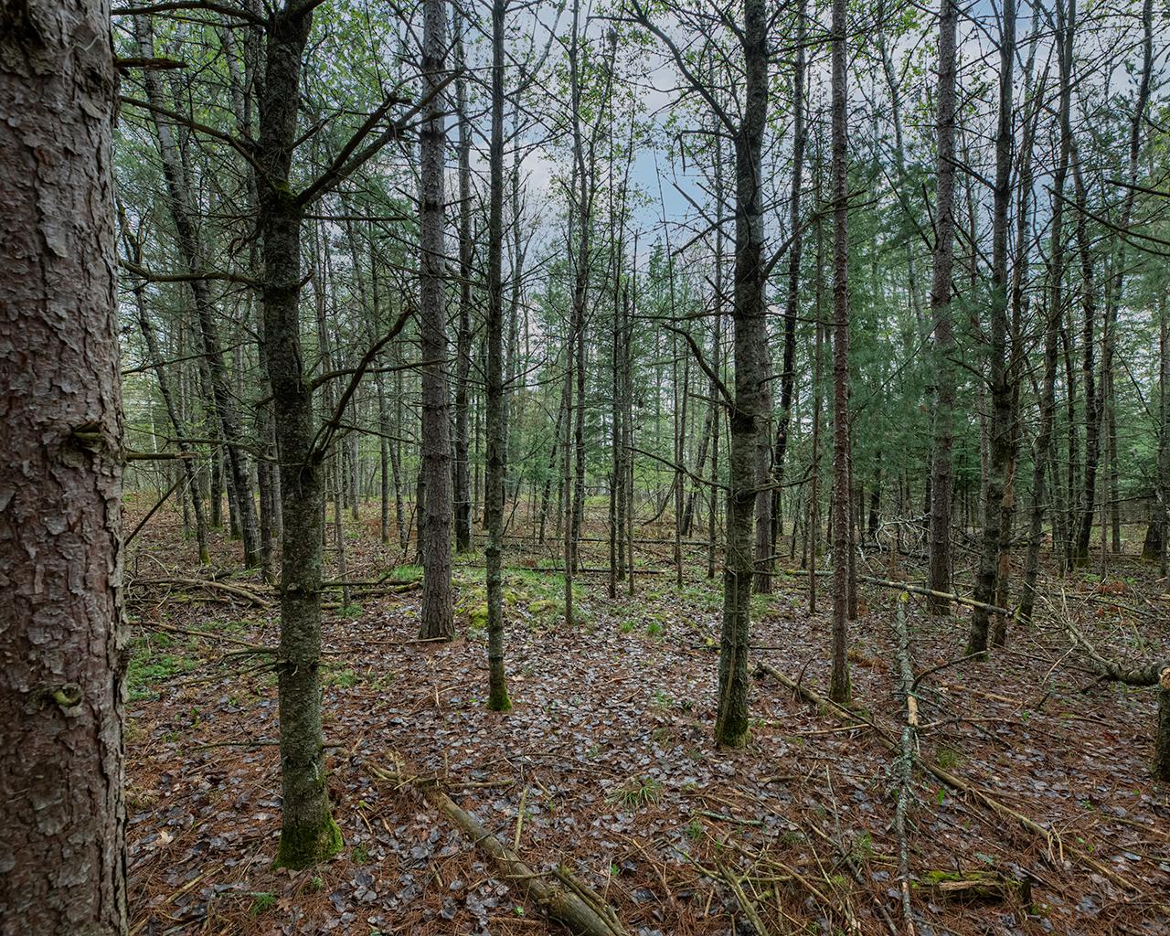 2744 South Star Road Eagle River, WI 54521 - Photo 20 of 24 Gallery Image 20