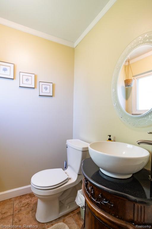 30100 Armada Ridge Road Richmond, MI 48062 - Photo 12 of 29 Bathroom featuring a vessel sink atop a dark wood-finish vanity with carved details, a white toilet, and earth-toned tile flooring