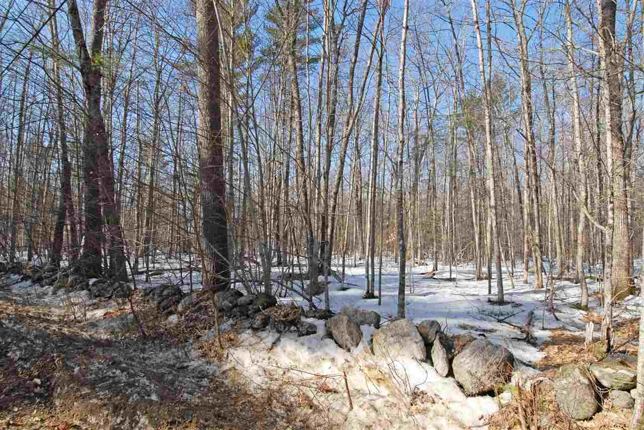 Lot 0 Range Road Alton, NH 03809 - Photo 1 of 1