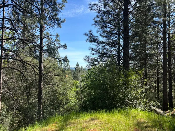 $125,000 | 4135 Ampezo Place, Foresthill, CA 95631