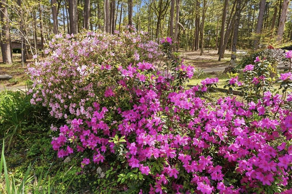 15744 Timberhill Drive Flint, TX 75762 - Photo 35 of 40