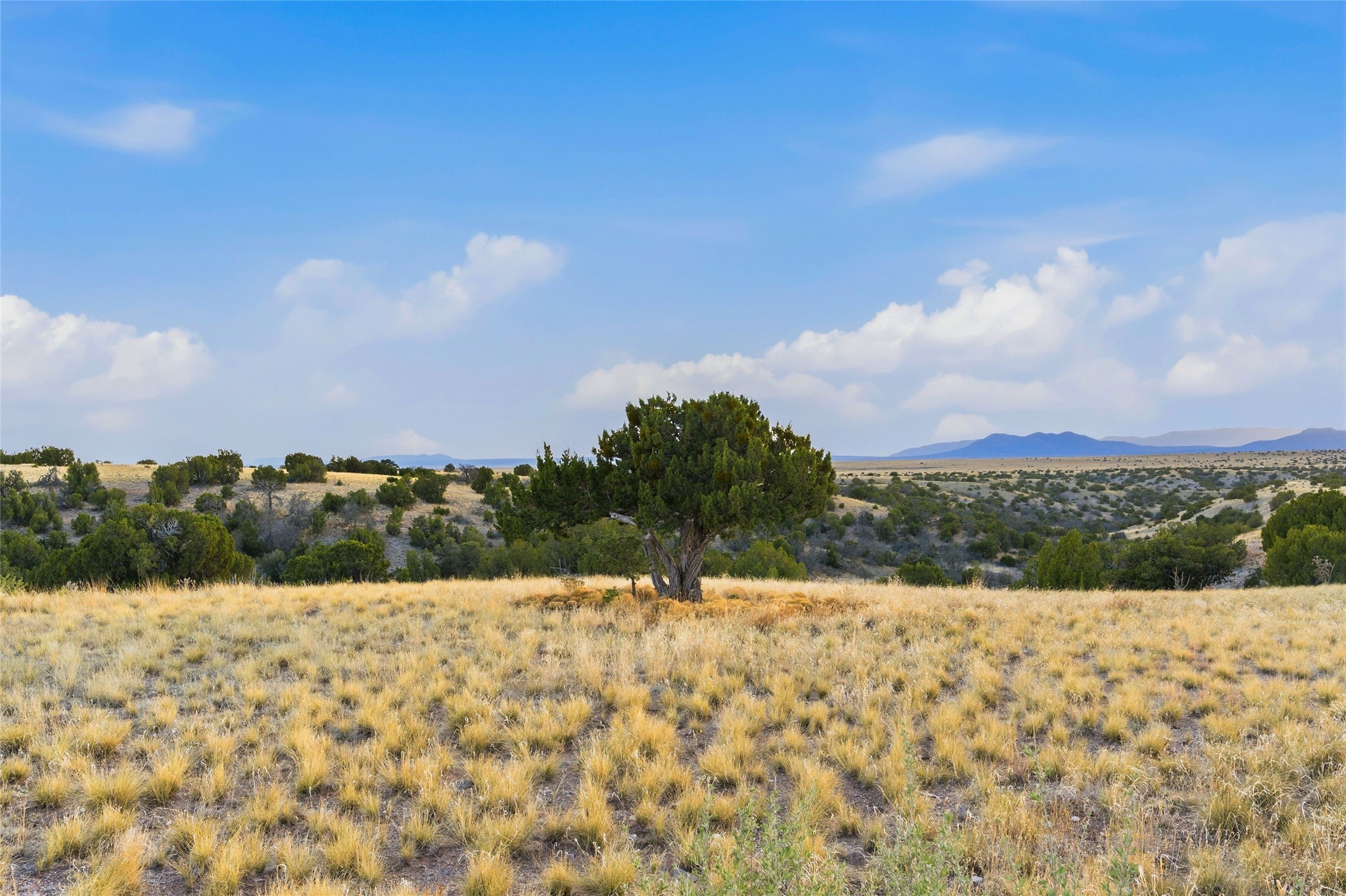 91 Pine Ranch Road Stanley, NM 87056 - Photo 32 of 34