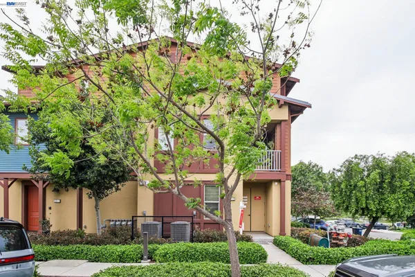 a front view of a house with a tree