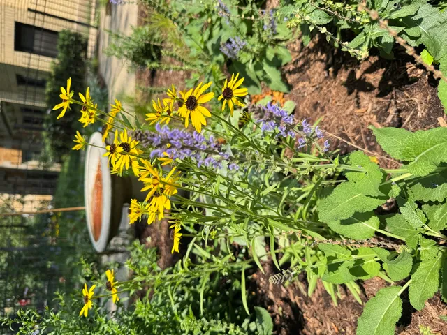 a picture of flowers