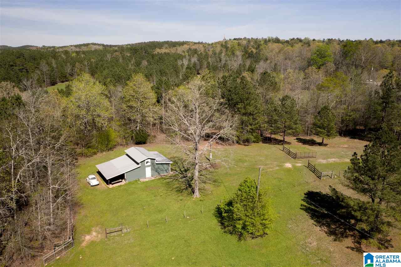 484 Cedar Hill Farm Road Sterrett, AL 35147 - Photo 8 of 50