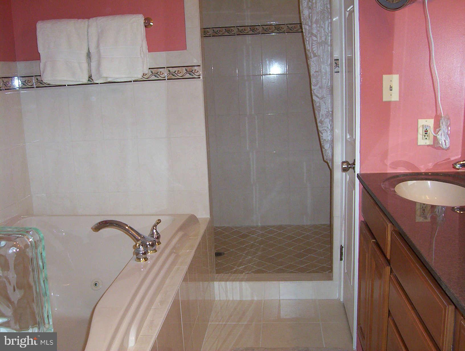 12211 Etchison Road Ellicott City, MD 21042 - Photo 13 of 27 Bath (Master)