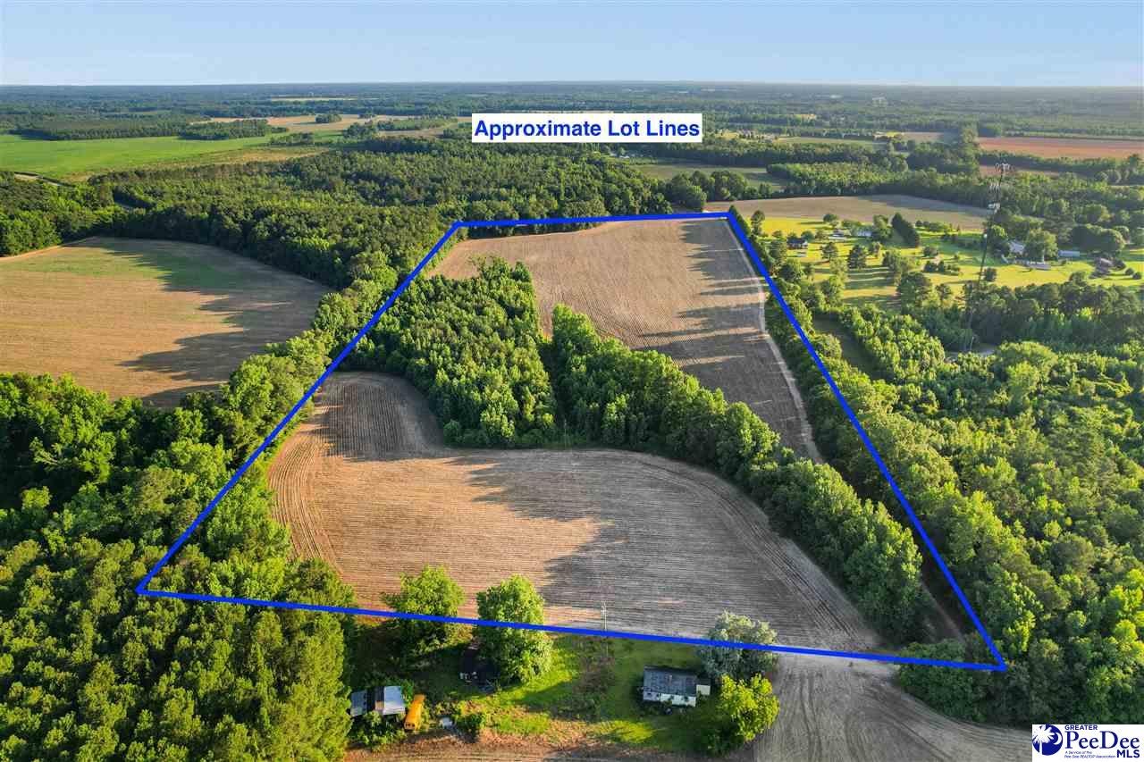 Lot 2-tbd Windham Town Road Lamar, SC 29069 - Photo 9 of 14 Gallery Image 9