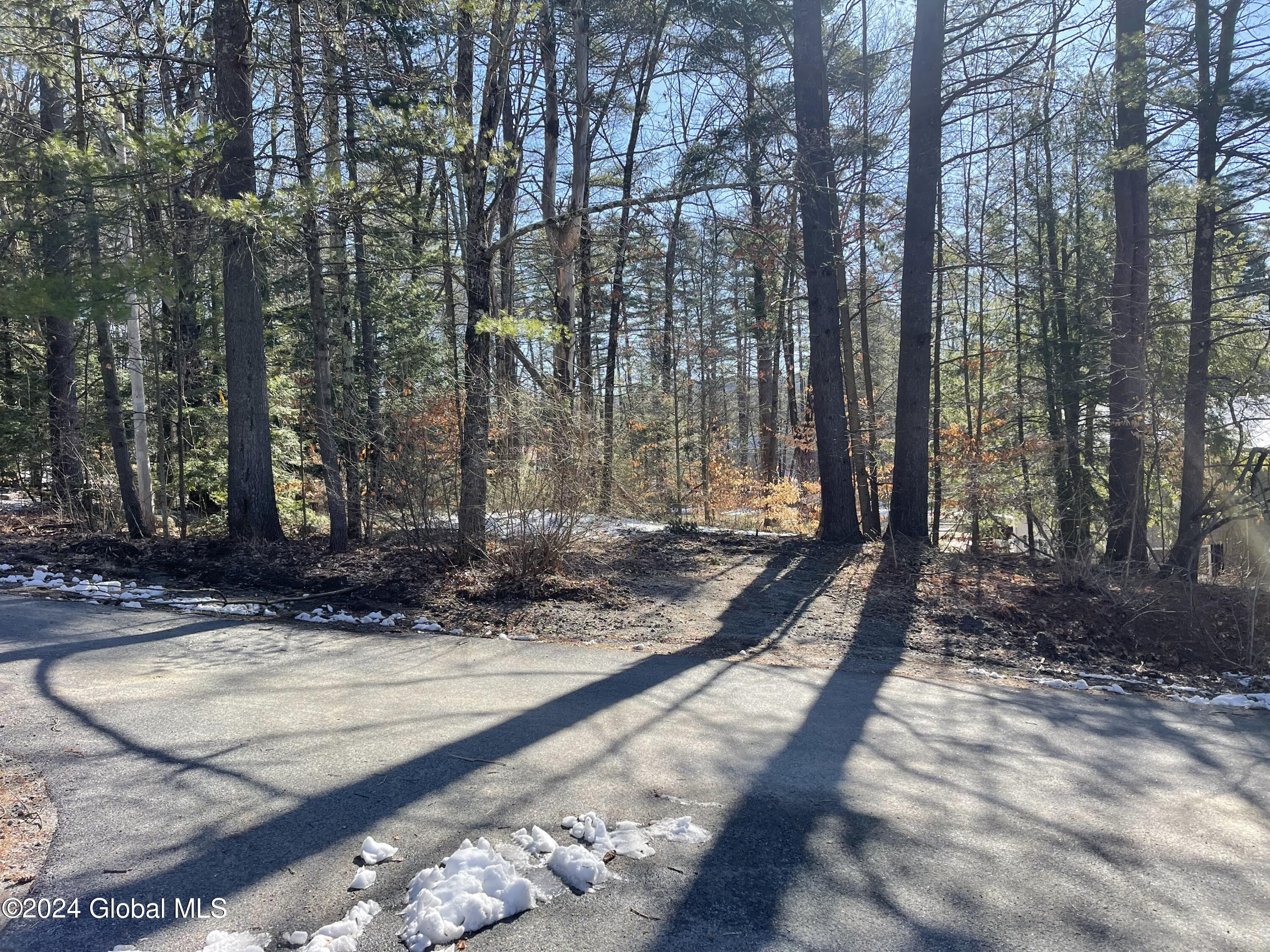 4 Carey Road Lake George, NY 12845 - Photo 4 of 16 2B