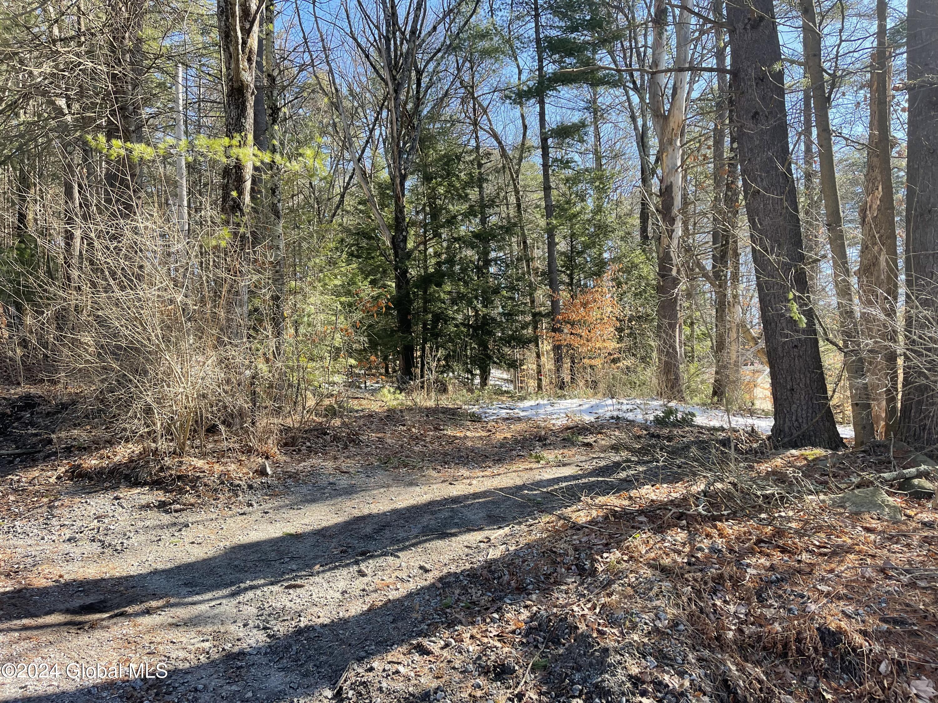 4 Carey Road Lake George, NY 12845 - Photo 6 of 16 4