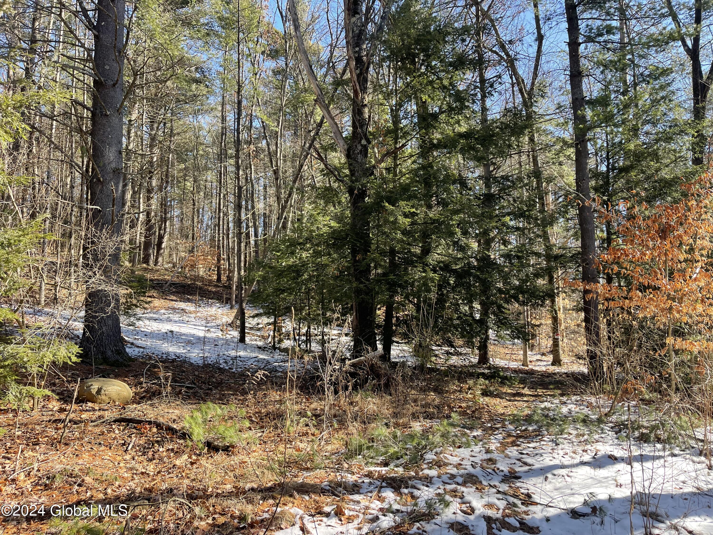4 Carey Road Lake George, NY 12845 - Photo 7 of 16 5