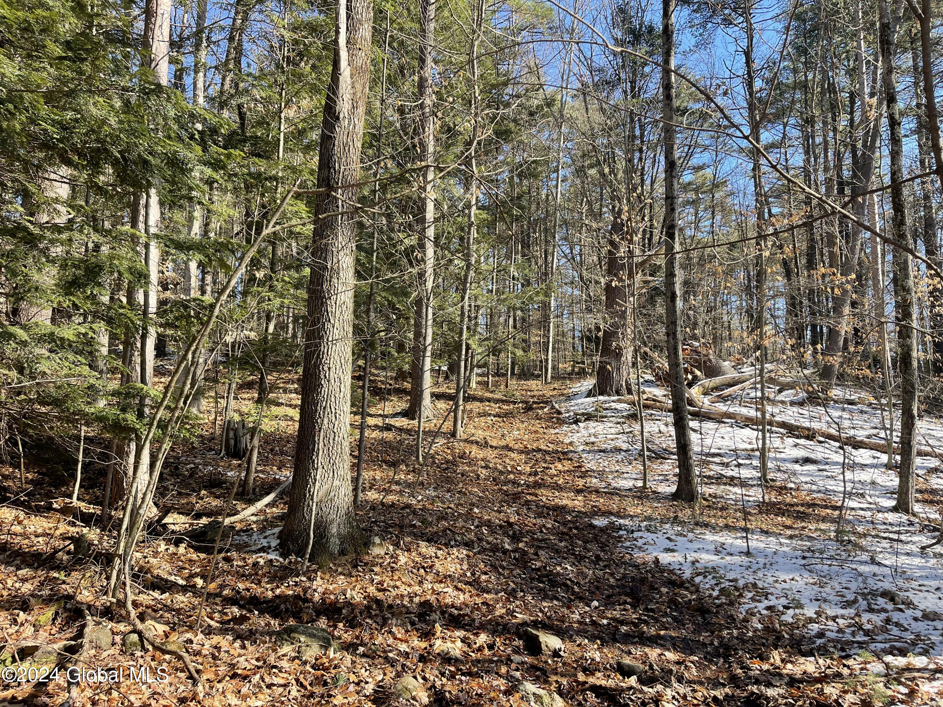 4 Carey Road Lake George, NY 12845 - Photo 8 of 16 6