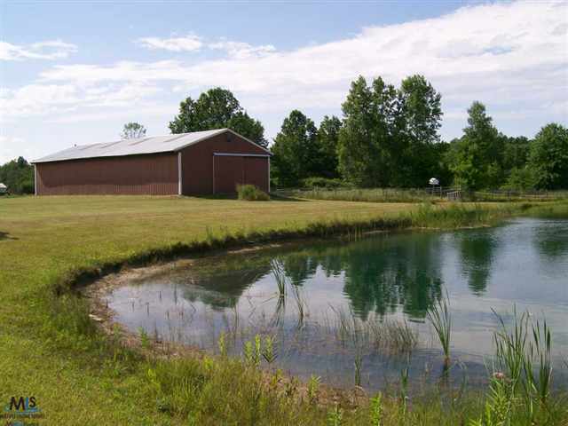 7596 Springborn Road Casco, MI 48064 - Photo 26 of 30 31110039-25.JPG