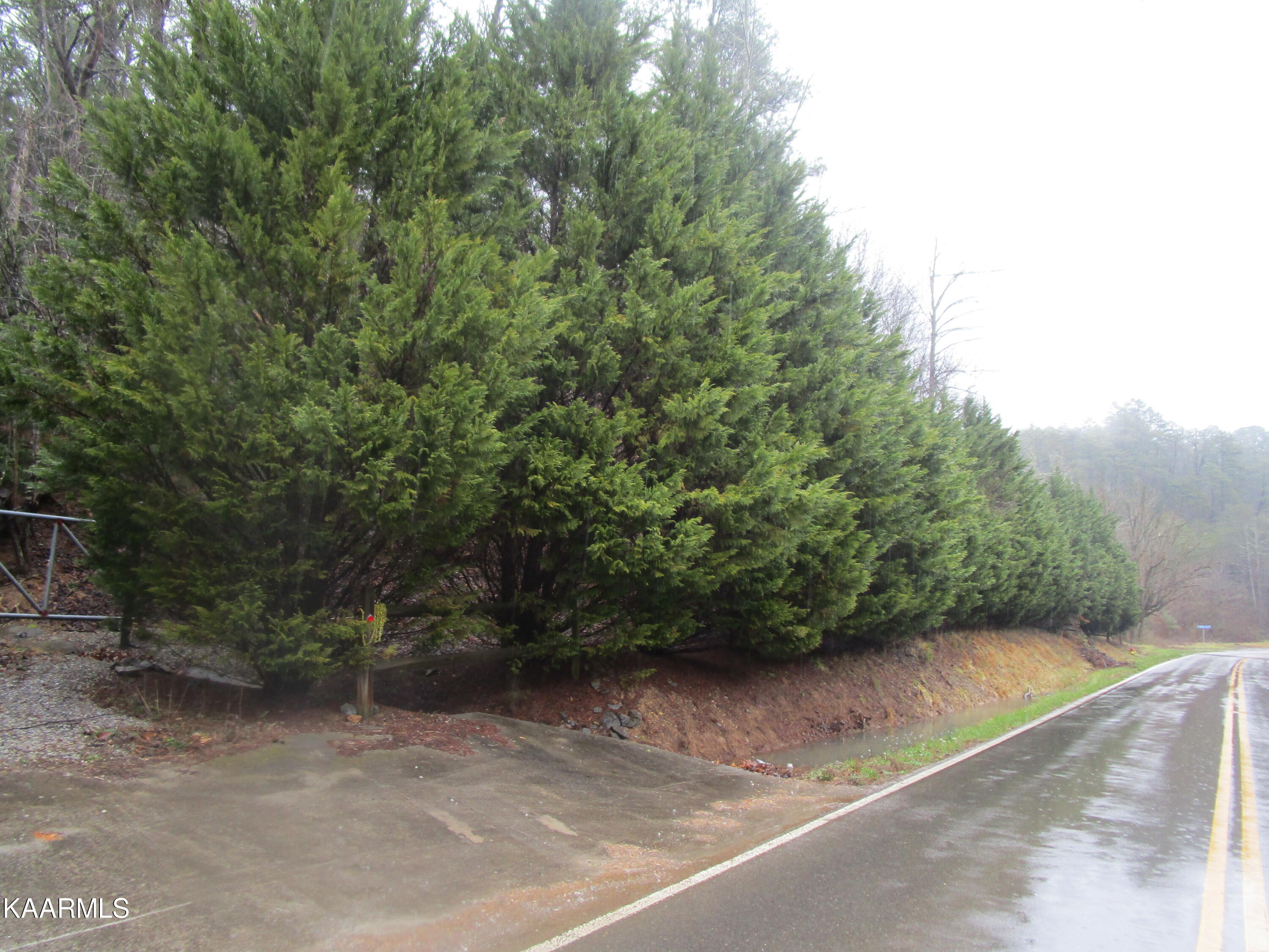 2 Jones Cove Road Sevierville, TN 37876 - Photo 1 of 4 IMG_2057