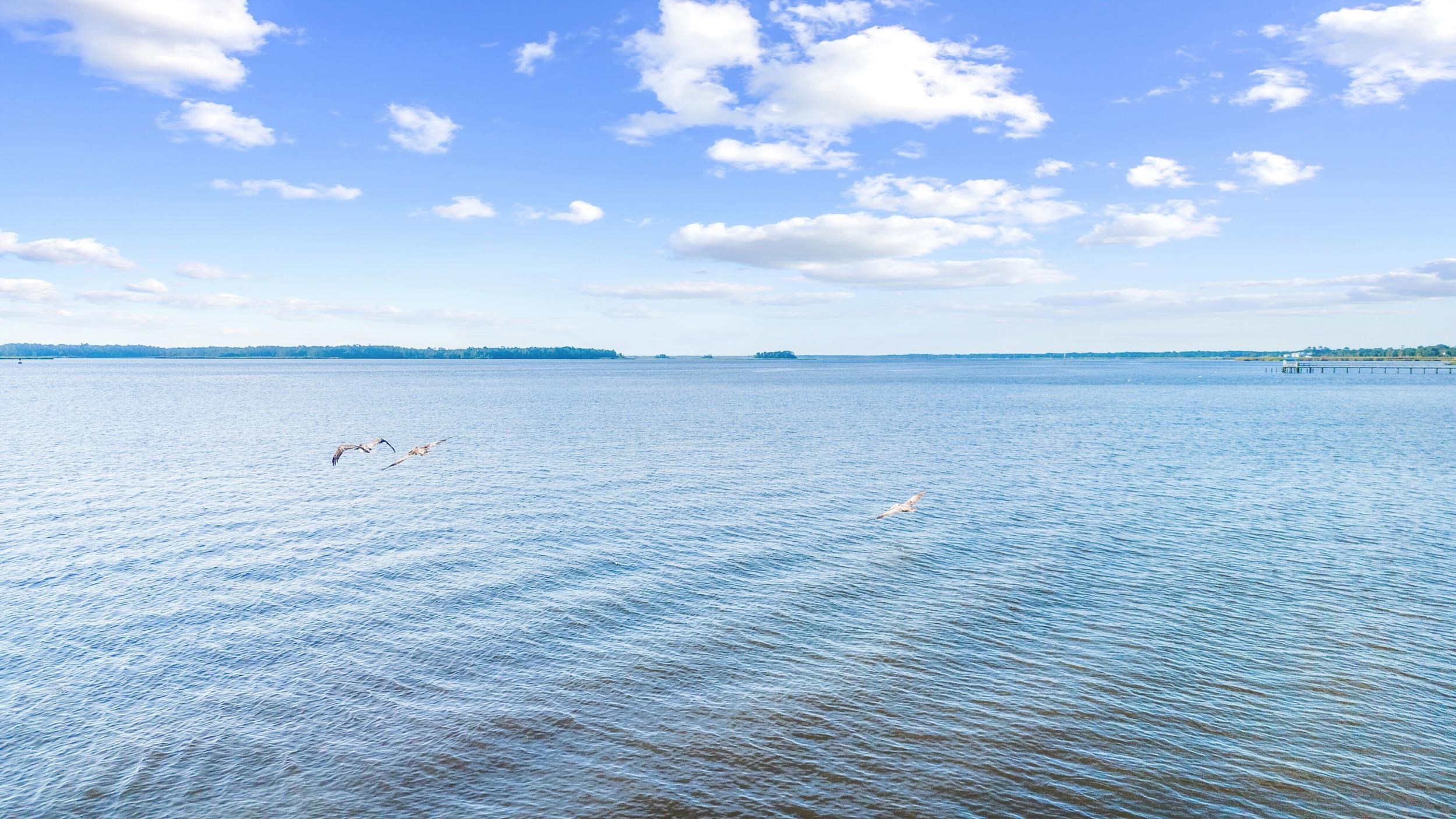 815 Front Street, Unit 2I Georgetown, SC 29440 - Photo 53 of 56