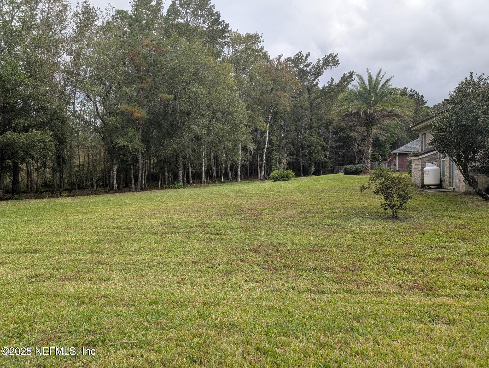 1539 Lockend Court Jacksonville, FL 32221 - Photo 21 of 23 a view of a tree in a yard