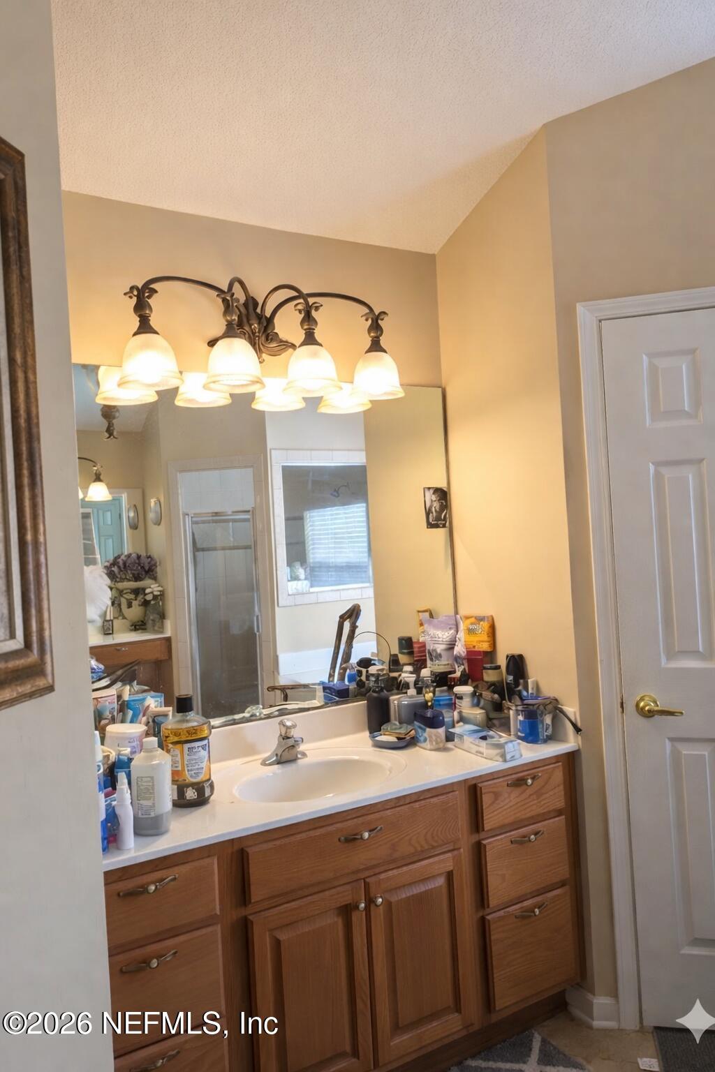 1539 Lockend Court Jacksonville, FL 32221 - Photo 21 of 24 a bathroom with a sink and a mirror