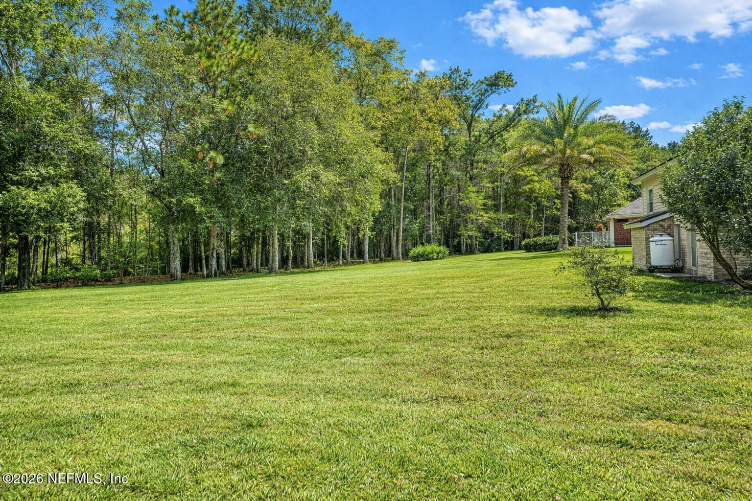 1539 Lockend Court Jacksonville, FL 32221 - Photo 24 of 24 a view of a house with a yard