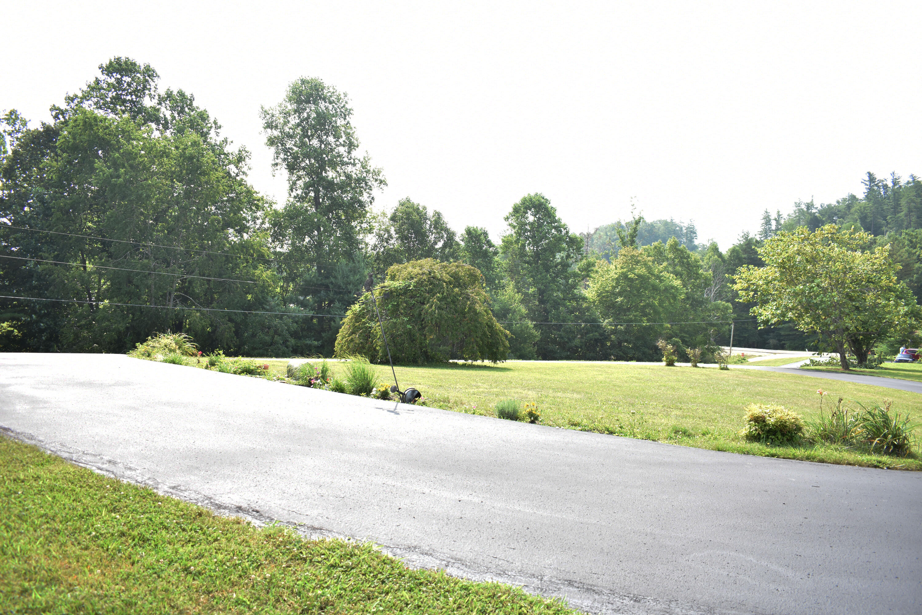 919 Quillen Chapel Road Campton, KY 41301 - Photo 6 of 38 DSC_0498