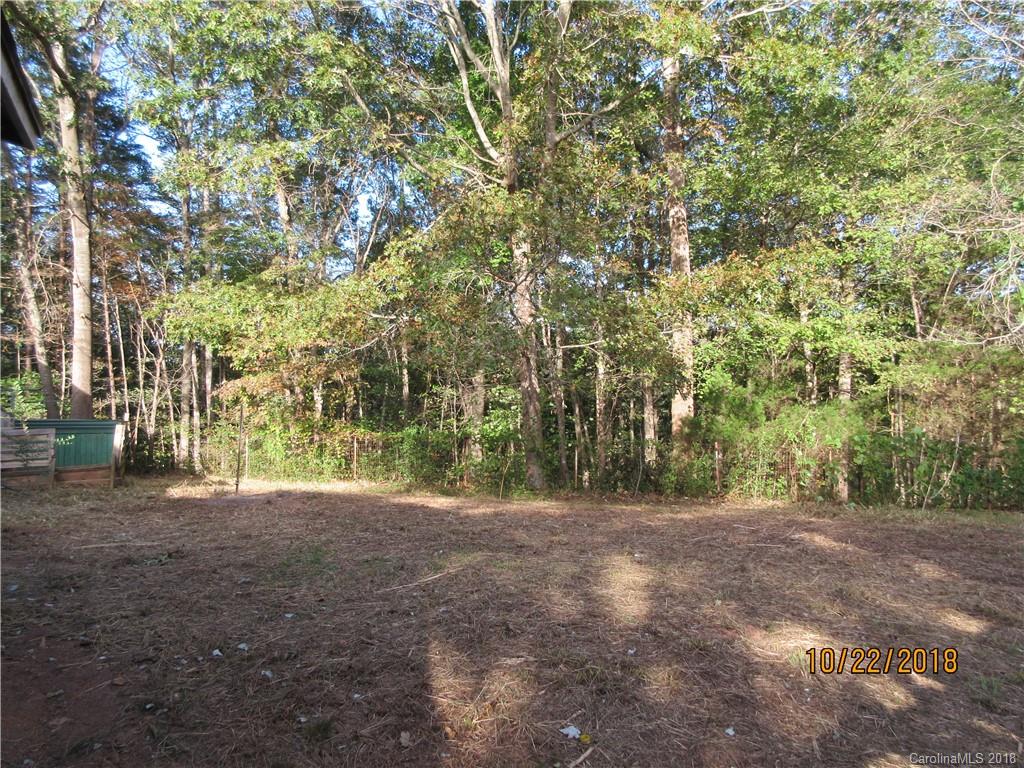 287 King Stepp Road Mill Spring, NC 28756 - Photo 4 of 9