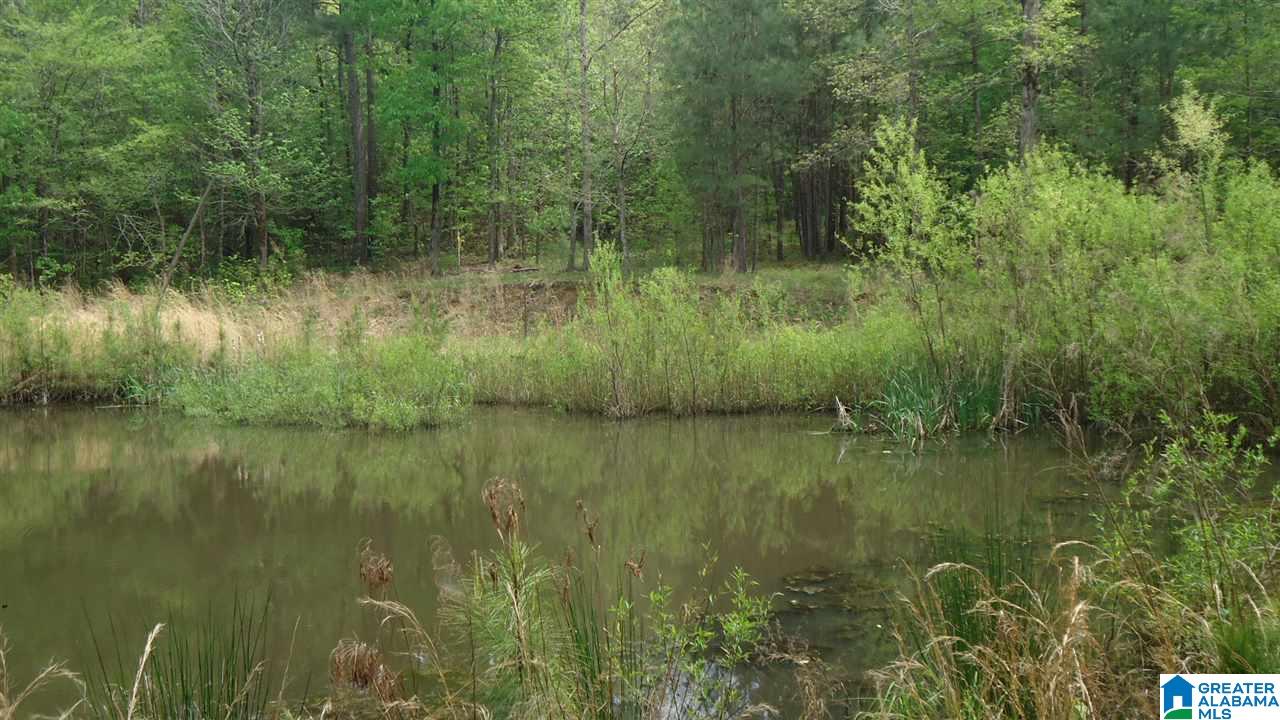 0 Mudd Street Ohatchee, AL 36271 - Photo 5 of 20