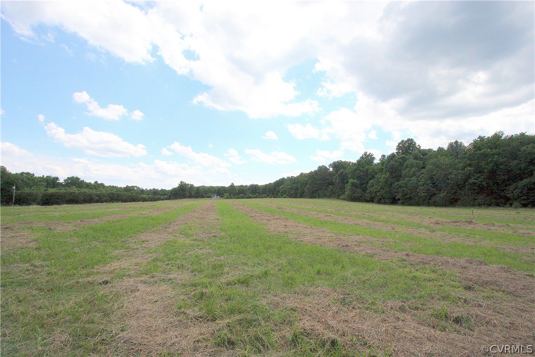 Lot 1 Old Ridge Road Doswell, VA 23047 - Photo 3 of 11 Gallery Image 3