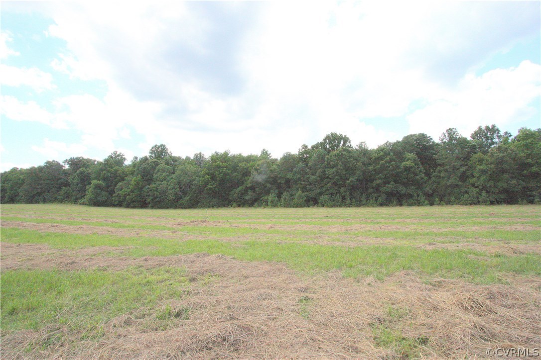 Lot 1 Old Ridge Road Doswell, VA 23047 - Photo 4 of 11 Gallery Image 4