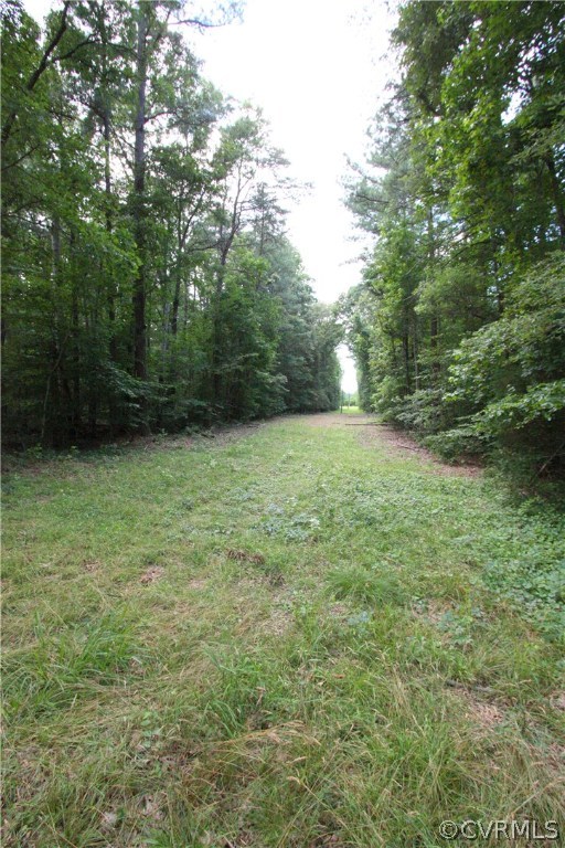 Lot 1 Old Ridge Road Doswell, VA 23047 - Photo 5 of 11 Gallery Image 5