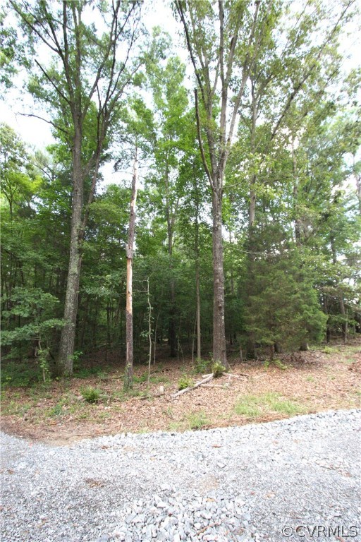 Lot 1 Old Ridge Road Doswell, VA 23047 - Photo 8 of 11 Gallery Image 8