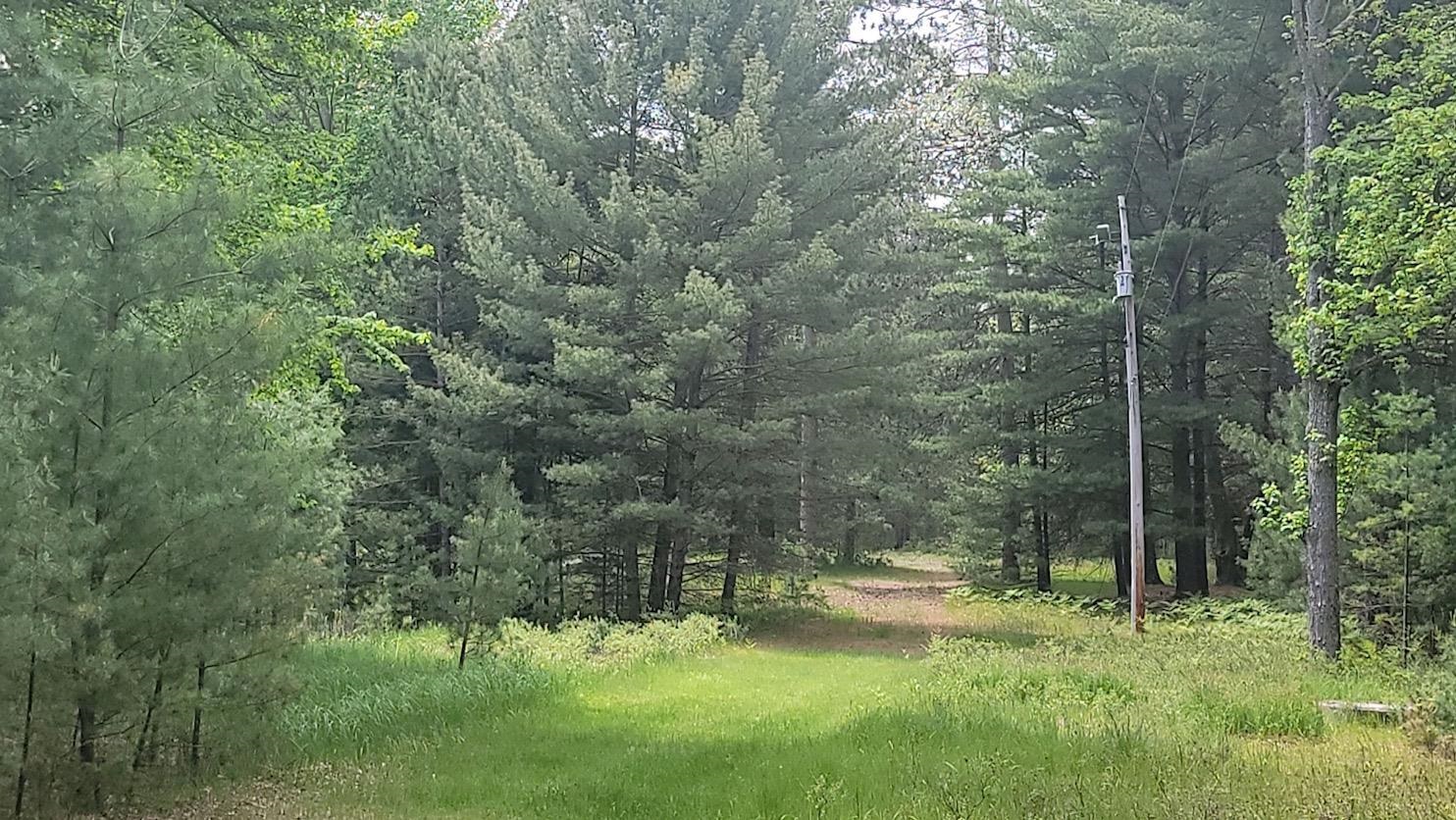 Xxx South Gladwin Road Prudenville, MI 48651 - Photo 3 of 10