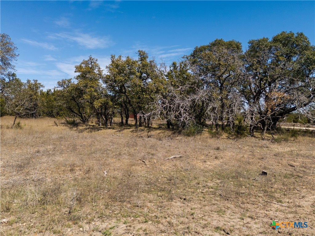 Tbd Tbd Drive Lampasas, TX 76550 - Photo 6 of 22 a view of outdoor space with trees
