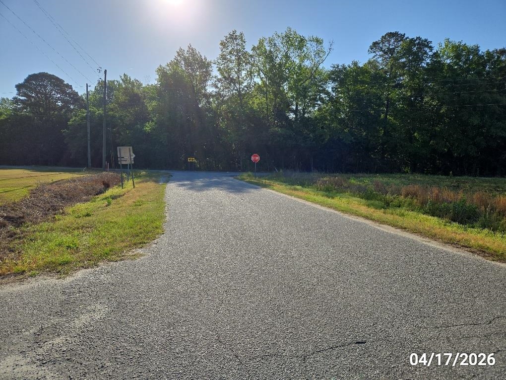 16 Leahs Loop Greeleyville, SC 29056 - Photo 2 of 20