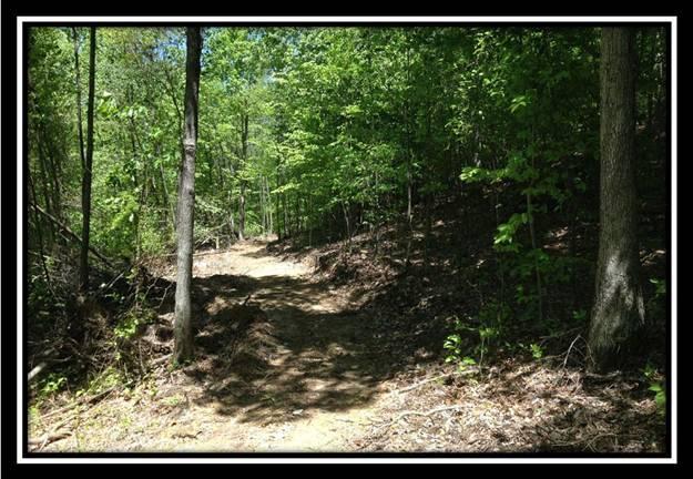 1150 Smith Road Otway, OH 45657 - Photo 10 of 10 Gallery Image 10