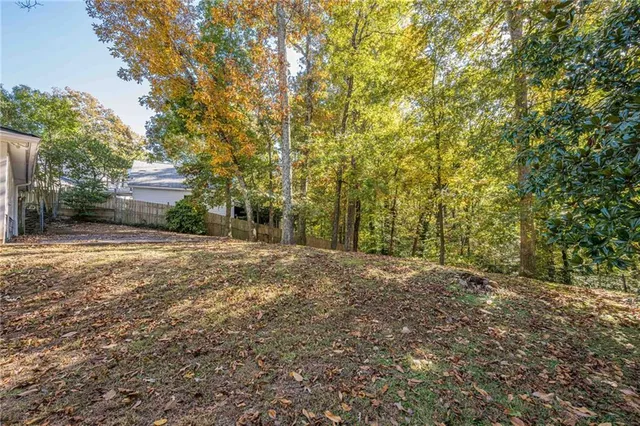 a view of a yard with plants and trees