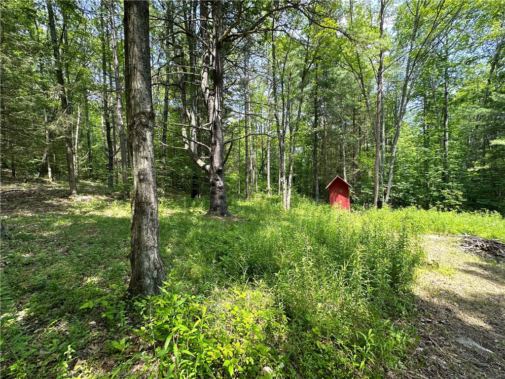 8021 Hickory Hill Road Bath, NY 14810 - Photo 34 of 44