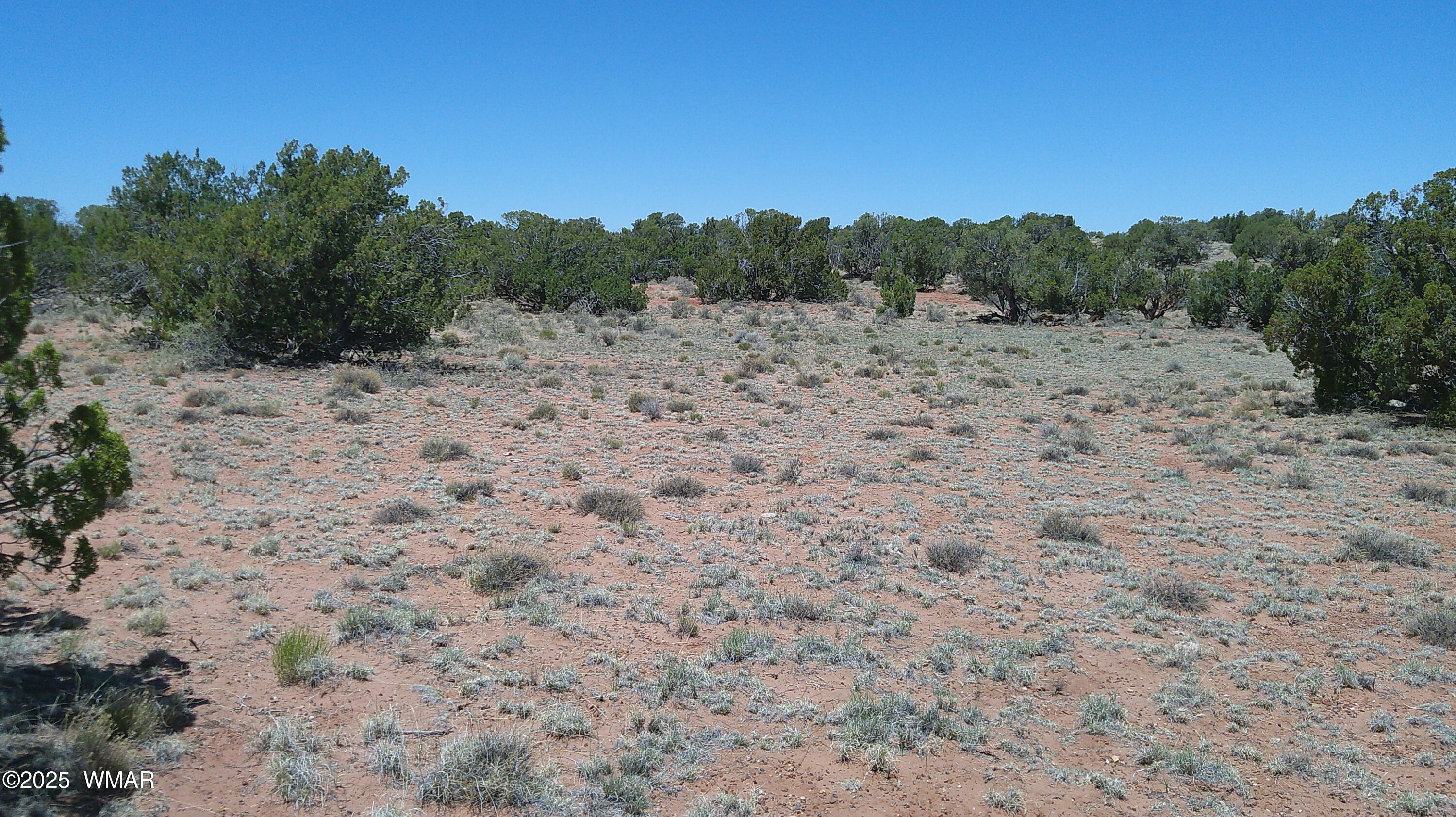 Tbd Tbd Rio Ranch Concho, AZ 85924 - Photo 30 of 44 DSCF0046