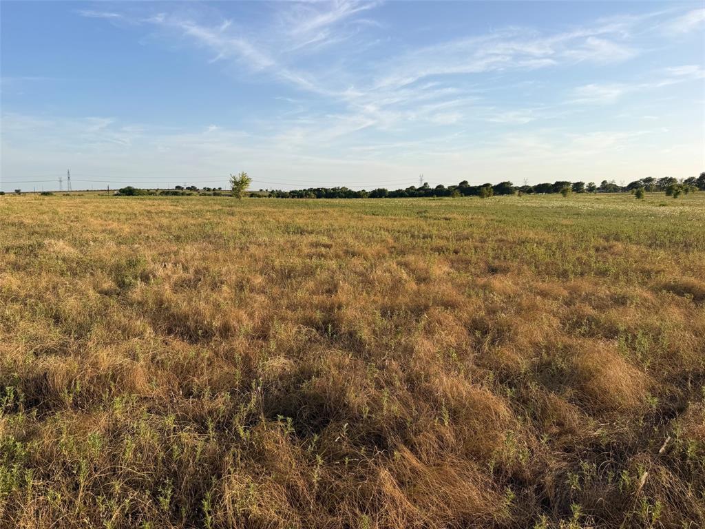 Tbd North Hickory Road Krum, TX 76249 - Photo 10 of 18 Gallery Image 10