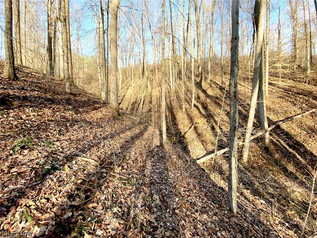 0 Twp Road Dexter City, OH 45727 - Photo 14 of 26