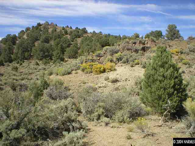 2526 Cartwright Road Reno, NV 89521 - Photo 1 of 2 a view of a city with green space