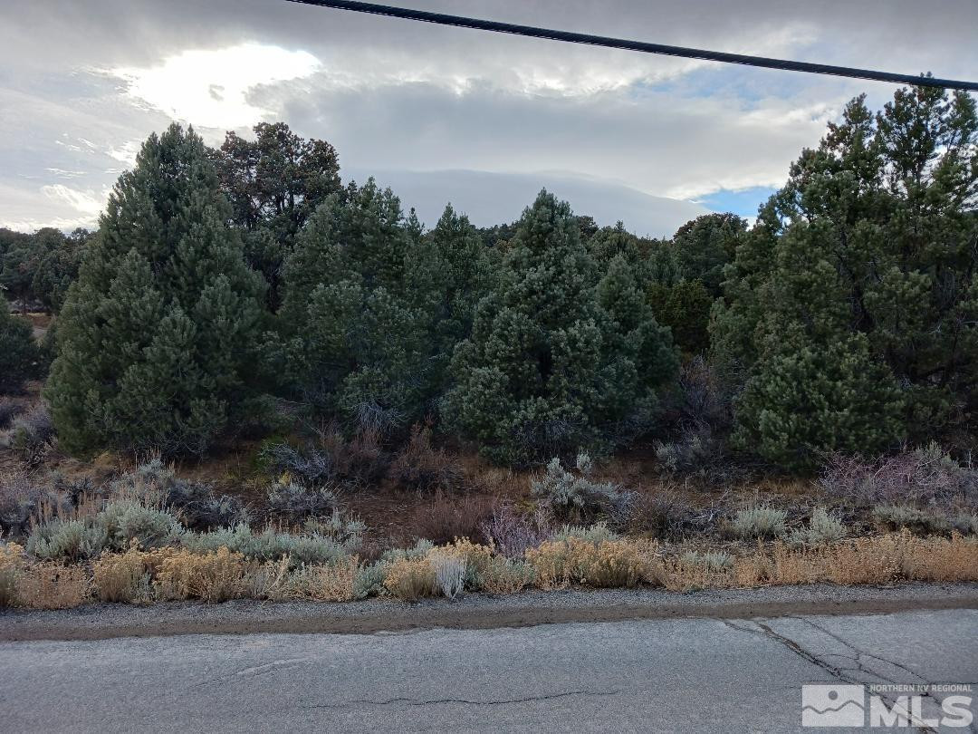 21330 Sazarac Road, Unit 12 Reno, NV 89521 - Photo 2 of 7 Photo 2
