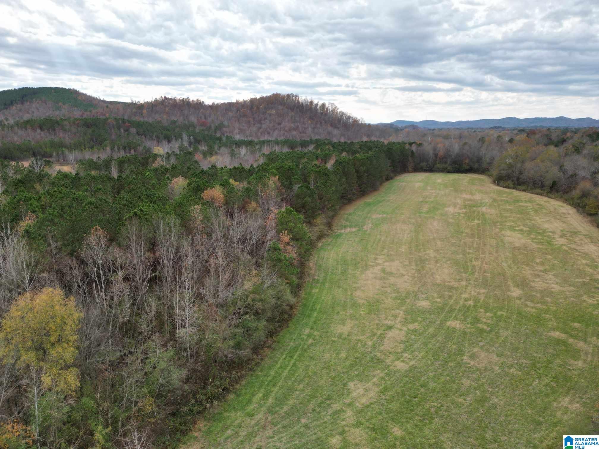 0 Nisbet Lake Road Jacksonville, AL 36265 - Photo 7 of 9