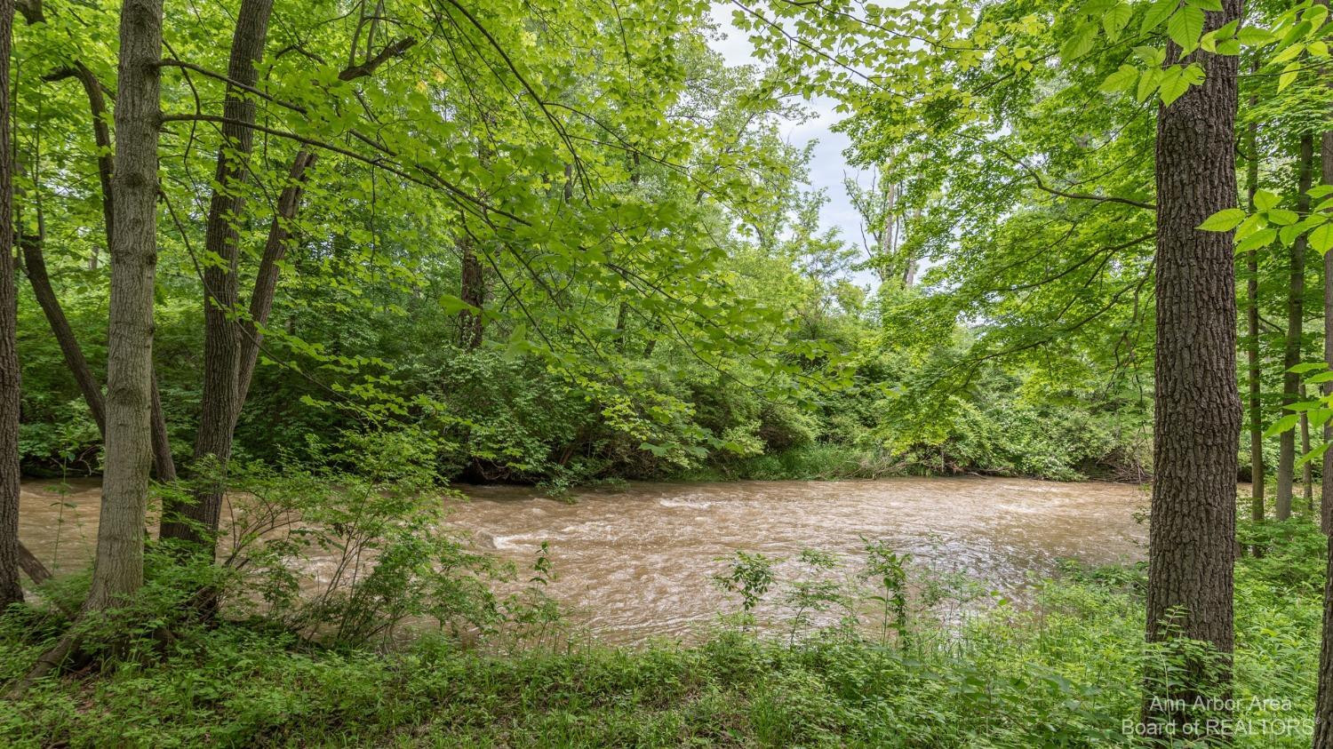14 Riverside Lane Saline, MI 48176 - Photo 16 of 83 Photo 16