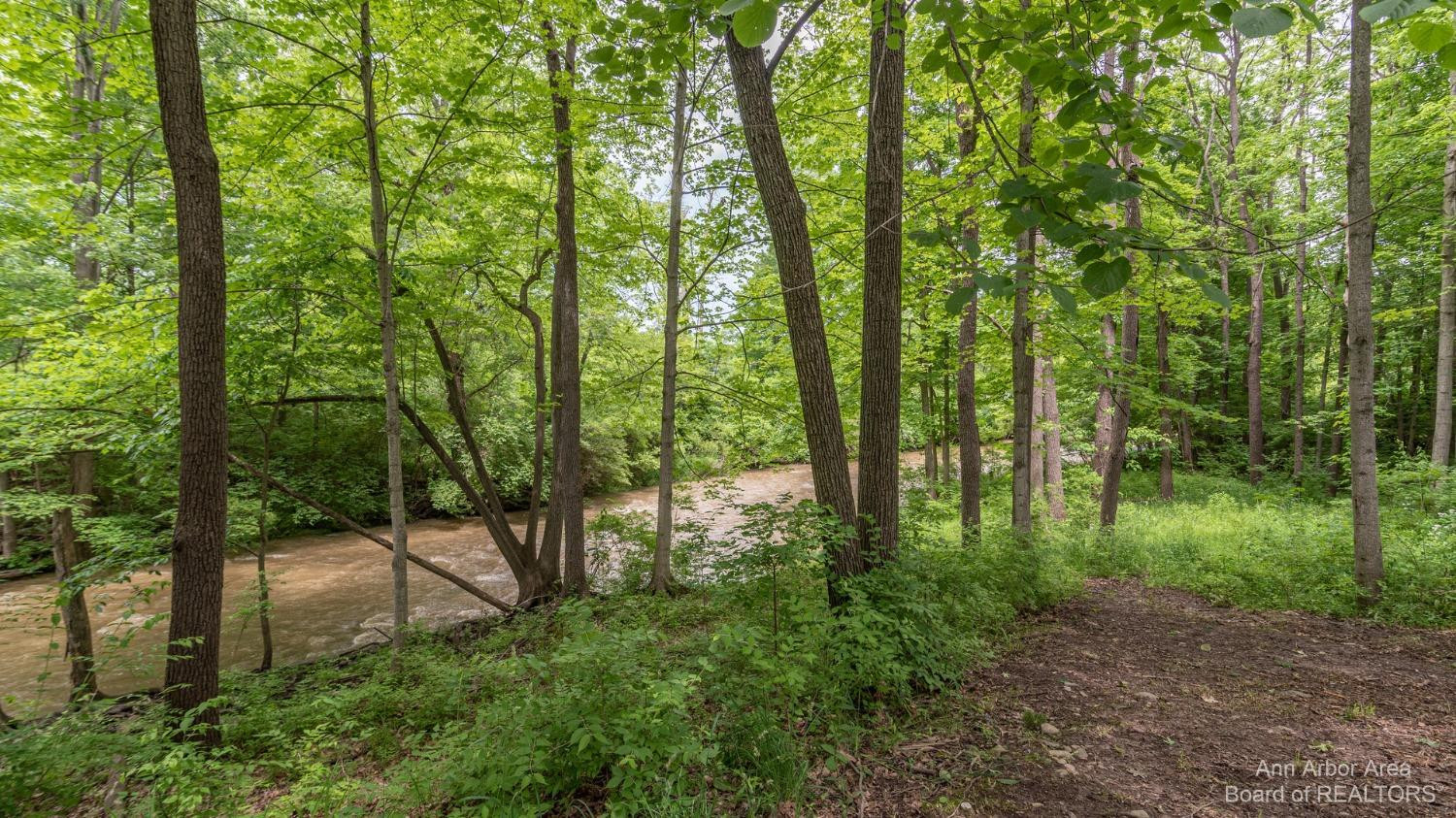 14 Riverside Lane Saline, MI 48176 - Photo 17 of 83 Photo 17