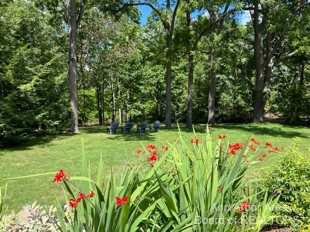 14 Riverside Lane Saline, MI 48176 - Photo 22 of 83 Photo 22