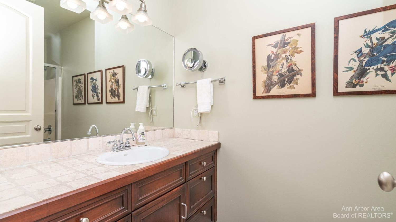 14 Riverside Lane Saline, MI 48176 - Photo 50 of 83 Photo 50