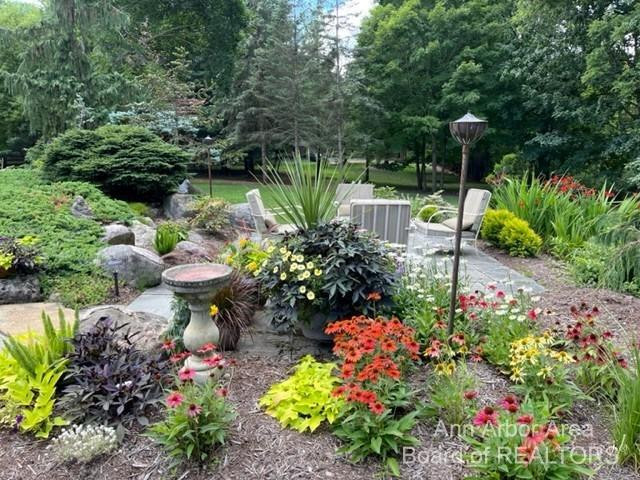 14 Riverside Lane Saline, MI 48176 - Photo 6 of 83 Photo 6