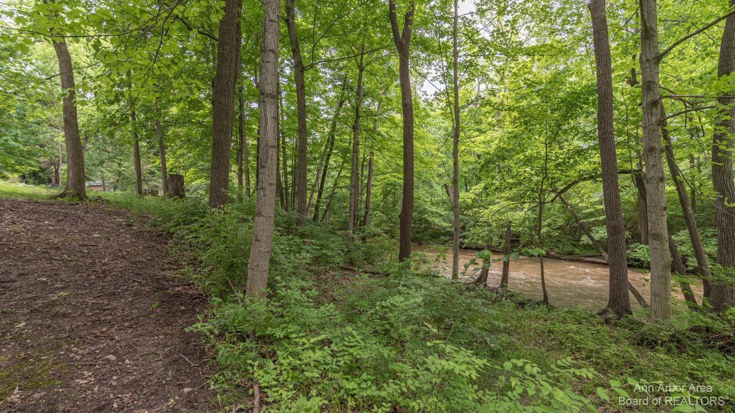 14 Riverside Lane Saline, MI 48176 - Photo 71 of 83 Photo 71