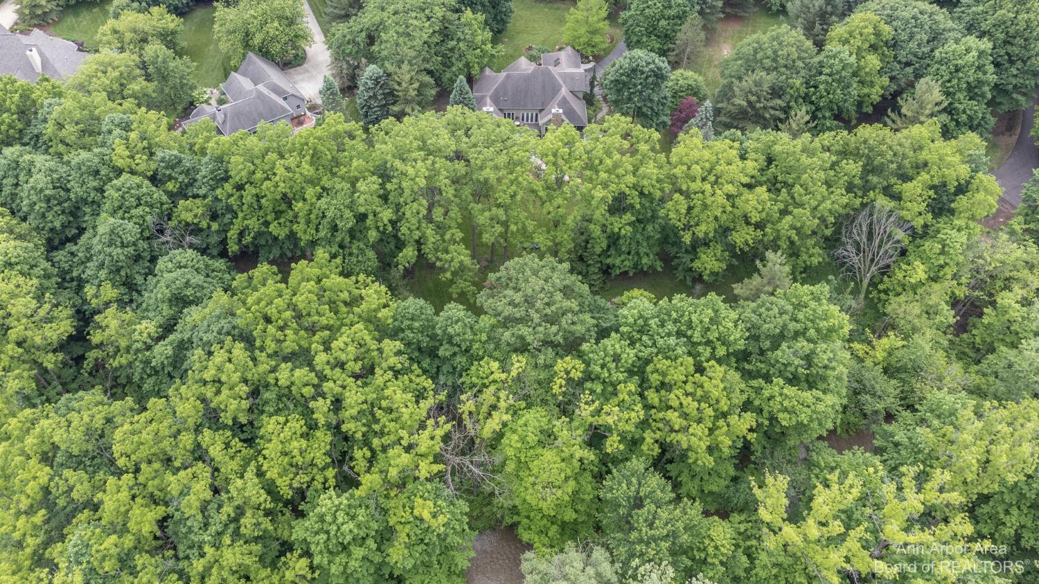 14 Riverside Lane Saline, MI 48176 - Photo 75 of 83 Photo 75