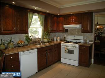 20 Sage Drive Sinking Spring, PA 19608 - Photo 6 of 12 Kitchen