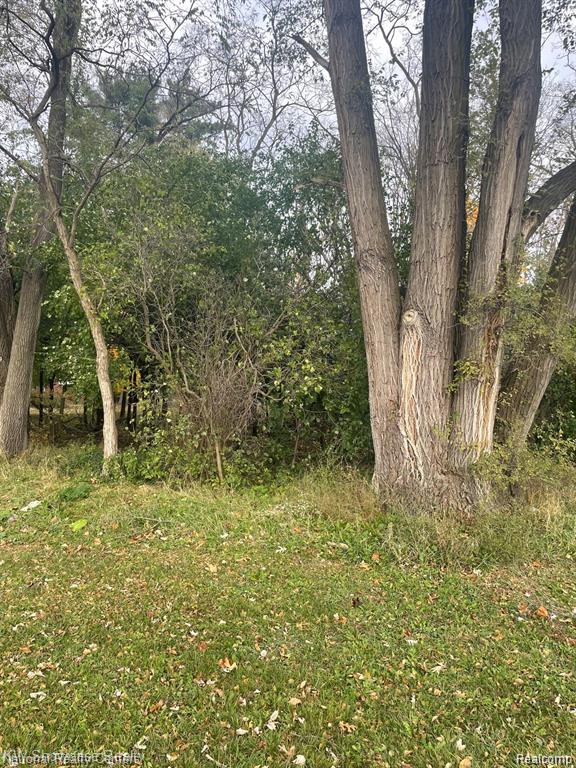 0 Reed Lake Road Commerce Township, MI 48382 - Photo 1 of 1