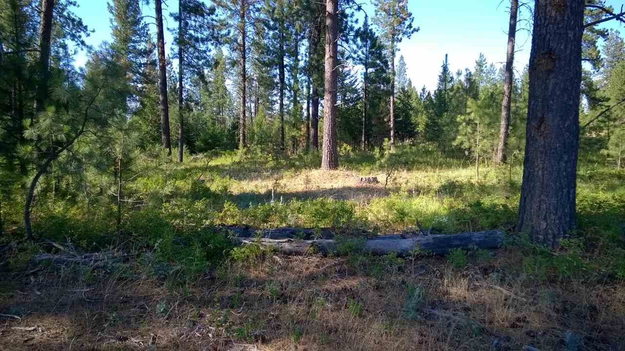 Xxx Xxx Chattaroy Road Colbert, WA 99005 - Photo 1 of 2 Gallery Image 1